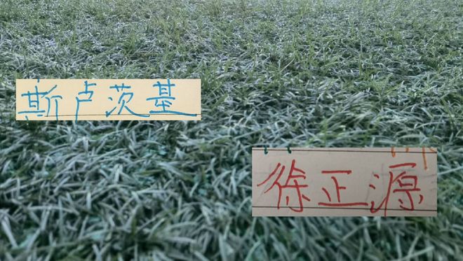 刘殿座是蓉城近期状态回升的王牌,未来将继续挑大梁,值得期待