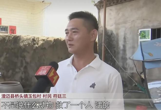 回归首秀挣扎优势尽失，杨瀚森给郭士强抛出内线适配难题
