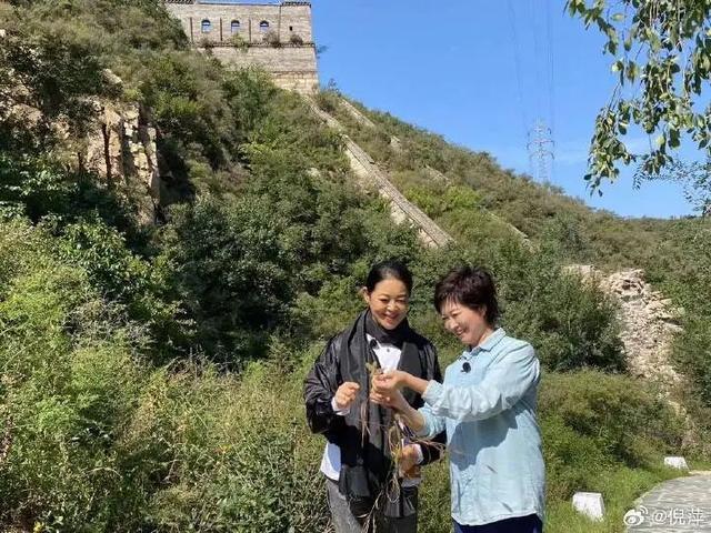 高芙终结佩古拉同胞不败神奇定律,穆霍娃再胜大坂直美