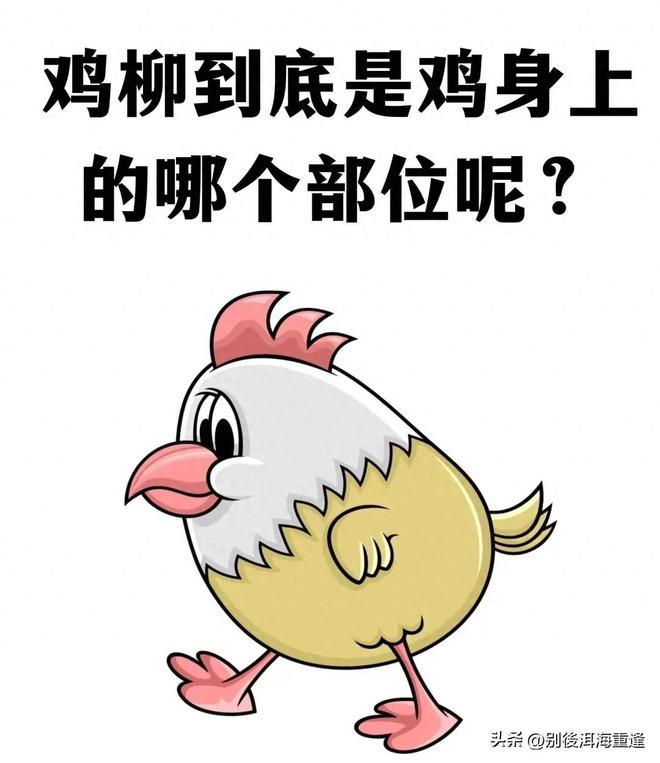 世界第六对阵第八,巴西创60年耻辱纪录,摩洛哥早已撕掉黑马标签