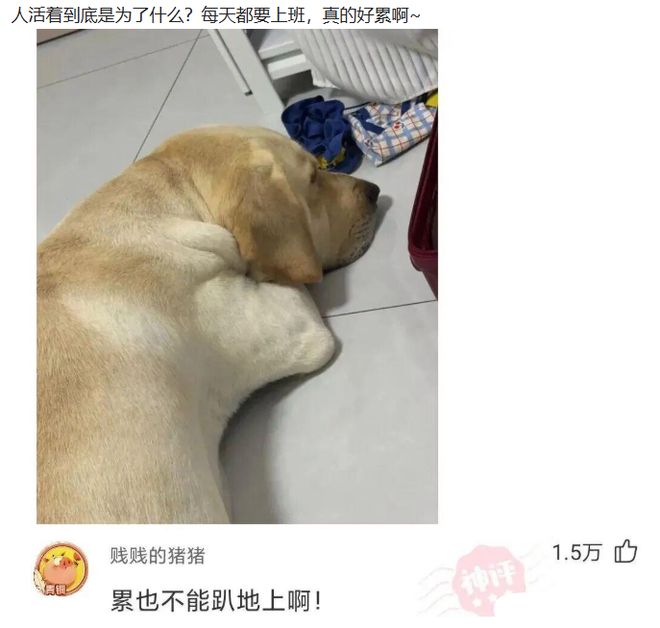 利物浦高管赴美考察世界杯新星布阿迪