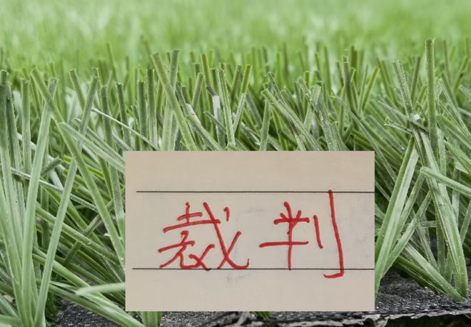 刘殿座是蓉城近期状态回升的王牌,未来将继续挑大梁,值得期待