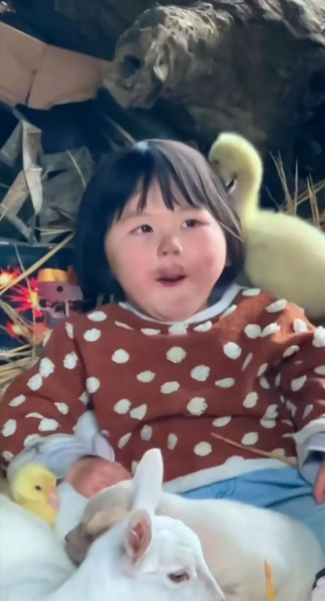 湖人彻底变天!锁定最后一个目标!东契奇冲击总冠军