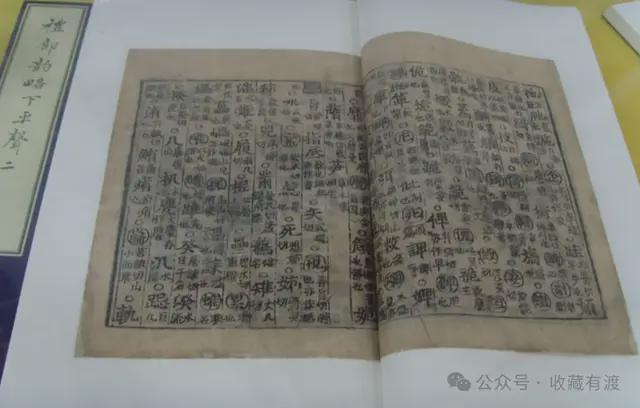 从非洲志愿者到大满贯决赛,诺斯科娃的善良终于在温网开花结果
