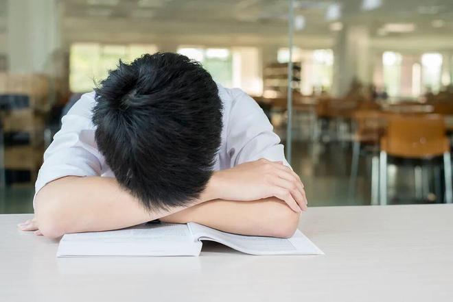 全网期待史诗搭档!小威与阿尔卡拉斯酝酿携手出战美网混双赛事