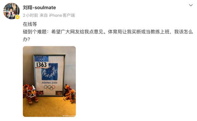 西尼亚科娃与张帅合练，网友称给郑钦文支支招，拉杜卡努退赛