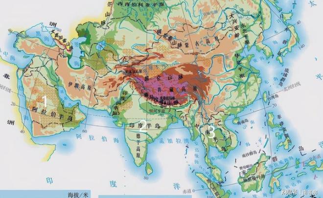 河北甲醛白菜后续!多部门介入,第三车被扣,甲醛成本曝光太意外