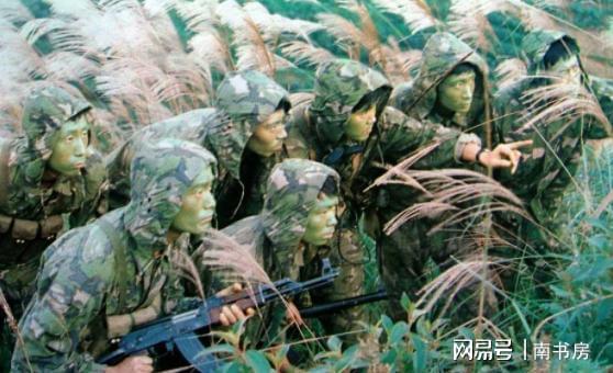 河北甲醛白菜后续!多部门介入,第三车被扣,甲醛成本曝光太意外